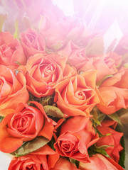 Small orange roses close-up in a flower shop. The concept of spring, holiday, women's day, flower business.