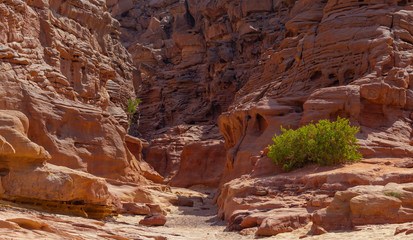 Coloured Canyon is a rock formation on Sinai peninsula. Sights of Nuweiba, Egypt.