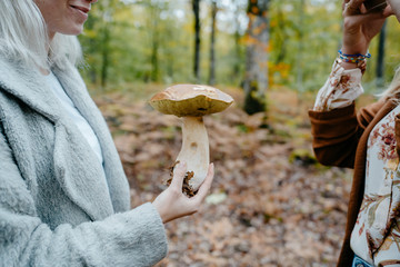 Young Women taking pictures of a giant mushroom in a forest