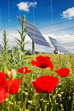 A photo voltaic solar power station near Caravaca, Andalucia, Spain, with wild flowers.
