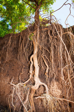 In mid January 2015, a three day period of excessive rain brought unprecedented floods to the small poor African country of Malawi. It displaced nearly quarter of a million people, devastated
