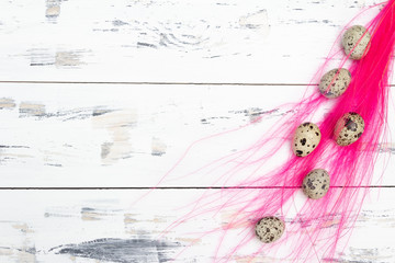 Quail eggs with pink feathers on white background. Easter concept. Free copy space.