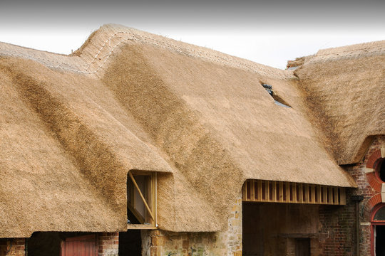 An old barn being re thatched in the Dorset village of Symondsbury