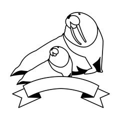 walrus sea animal on a white background