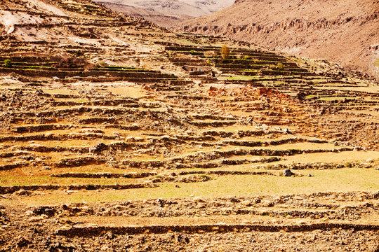 Field terraces above a Berber village in the Anti Atlas mountains of Morocco, North Africa. In recent years, rainfall totals have reduced by around 75% as a result of climate change. This has