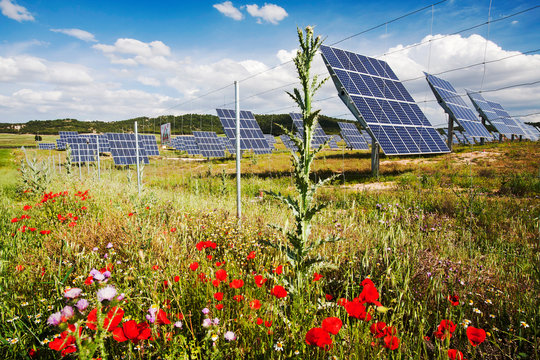 A photo voltaic solar power station near Caravaca, Andalucia, Spain, with wild flowers.