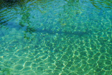 Fototapeta na wymiar Beautiful blue green water on a sunny day in the lake at Plitvice