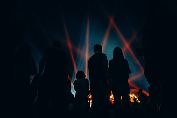 crowd of people at concert