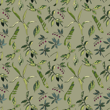 Vector seamless floral background with different tropical leaves house plants. Leaf of ficus beljamino, shefler, cartoon style, outline, for wallpaper design, camouflage fabric pattern in green colors