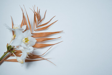 Fototapeta na wymiar Tropical dry leaves with white lilies on white background. Closeup view