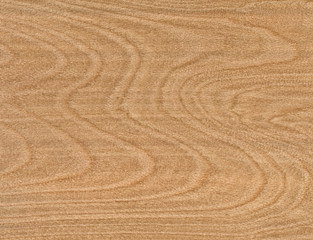 wood for texture or background, new, clean and natural