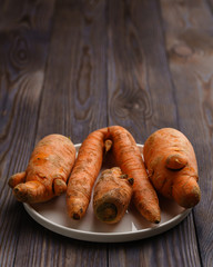 Fresh ugly carrots on a white flat plate on a dark wooden background. Vertical orientation with copy space.