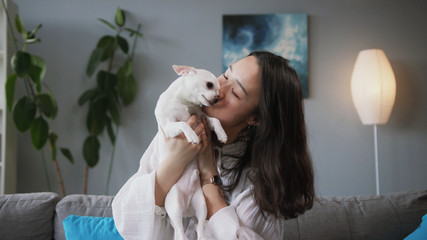 Shooting of pretty Chinese young woman kissing lovely Chihuahua. Daily life. Glossy, long, soft Chihuahua. Temperament. Adorable pet. Indoors. Apartment.