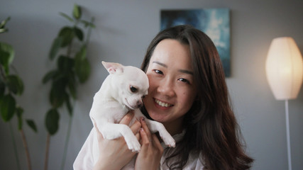 Close-up footage of charming girl holding white adorable Chihuahua in hands, kissing little dog....