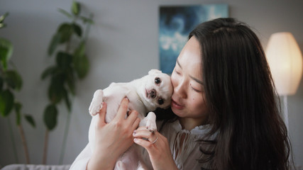 Close-up shooting of pleasant-looking happy Chinese young woman holding little buddy. White cute...