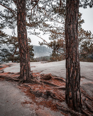 Wanderung durch den Wald zum Rauenstein Sächsische Schweiz