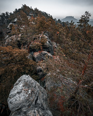 Wanderung durch den Wald zum Rauenstein Sächsische Schweiz