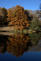 Fall colors along a mirror smooth lake