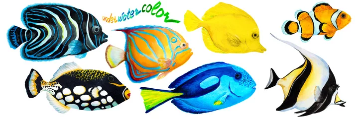 Fotobehang Set of tropical reef fish clownfish, moorish idol (zanclus), Emperor angelfish, blue-ringed angelfish, blue tang, yellow tang (zebrasoma) and clown triggerfish. Hand drawn watercolor. © EllSan