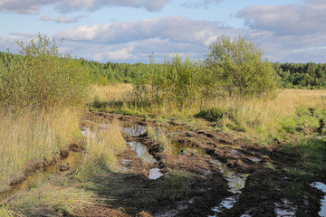 The track from the tractor wheels on the forest road is filled with water