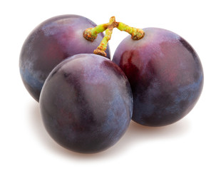 blue grapes
