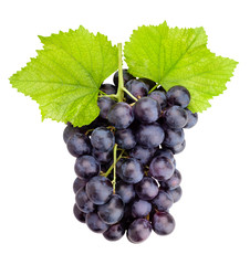 blue grapes
