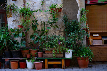 Fototapeta na wymiar Facade of a house full of plants and flowers.