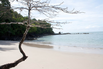 Playa de Costarrica