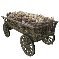 Harvest pears in a wooden cart