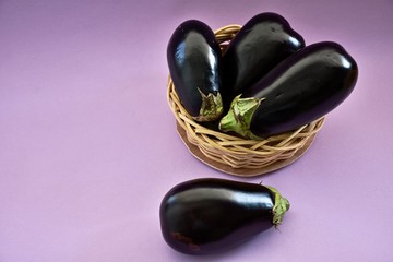 Eggplant group