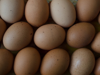 Huevos uniformes de granja