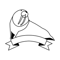 walrus sea animal on a white background