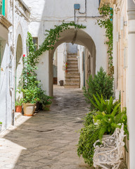 Fototapeta na wymiar Scenic summer sight in Martina Franca, province of Taranto, Apulia, southern Italy.