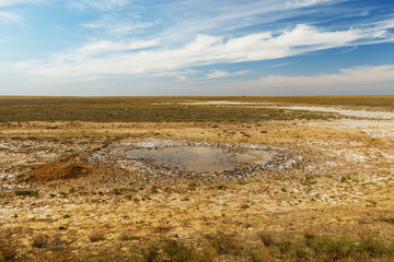 small puddle in the steppe, Kazakhstan