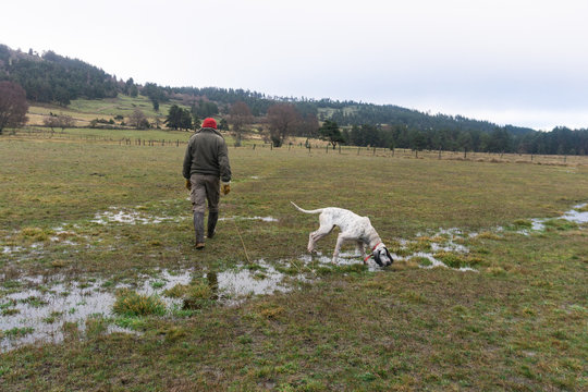 Man and Dog Following Scent Trail