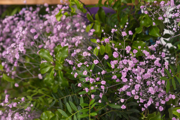 decorated bouquet of small pink flowers gypsophila. wedding decoration card.