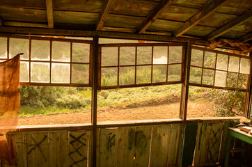 Windows of an old countryside house with natural views - Ventanas de una casa vieja en el campo con vistas a la naturalez.