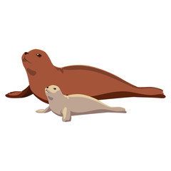 a seal fish with cub on a white background