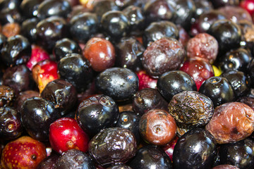 Black and red olives are together