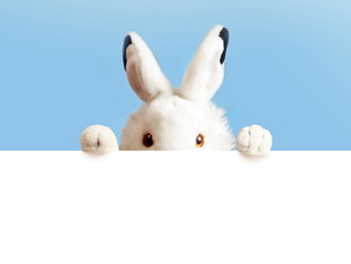 White easter rabbit with sheet for a text writing. Easter concept. Easter bunny. New year 2023 chinese symbol.