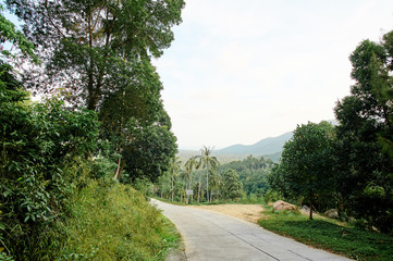 Simple stone road in rural part of Samui.