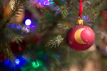 Christmas ornaments hanging on the pine tree.
