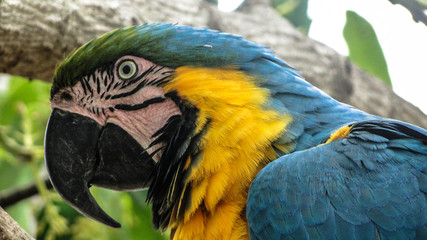 Fototapete bei efototapeten.de bestellen   