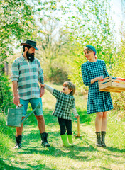 Small boy with father and mother in orchard in spring. Farmars couple with son enjoy spring nature and take care about her plants.