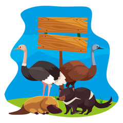 animals of australia over landscape