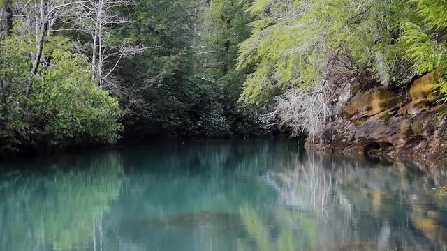 Pickett Lake at Pickett CCC Memorial State Park