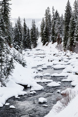 Yellowstone Mountain Landscape in Winter