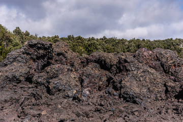 1961 Lava with belt of green trees, Kilaeuea volcano, Hawaii,, USA.