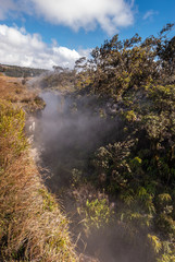 Naklejka na ściany i meble Closeup of crevasses producing steam and gasses on Kilaeuea volcano, Hawaii,, USA.