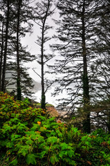 Travel to The Beautiful Oregon Coast